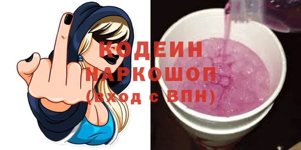 шишки Заволжье