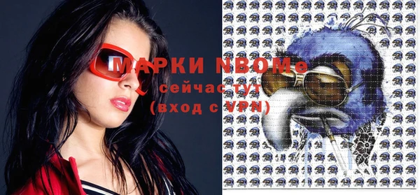 шишки Заволжье