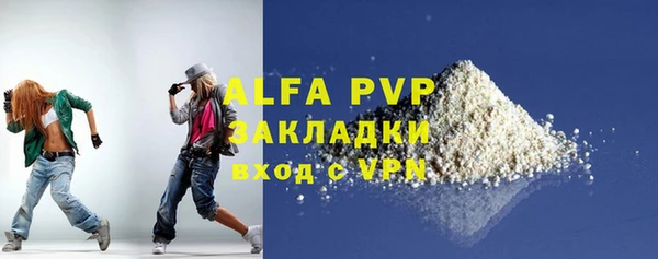 шишки Заволжье