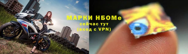шишки Заволжье