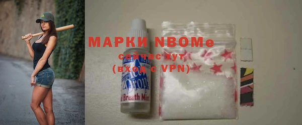шишки Заволжье