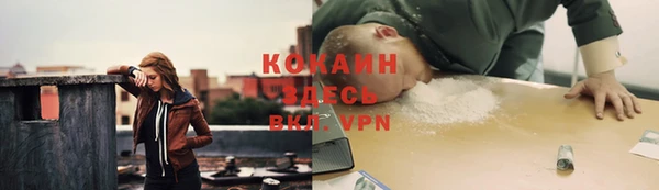 гашик Заводоуковск