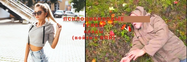 каннабис Зеленокумск