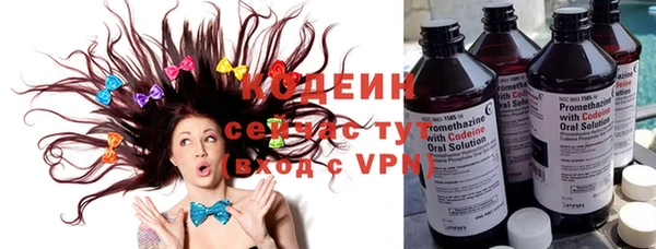 шишки Заволжье