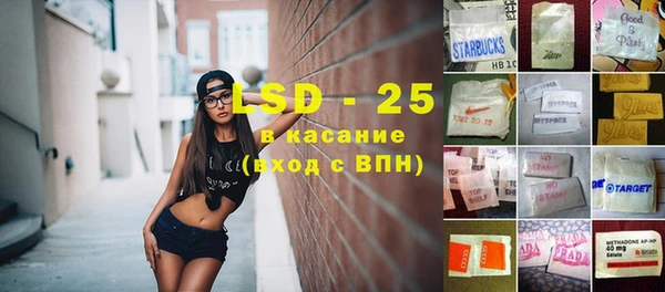 шишки Заволжье