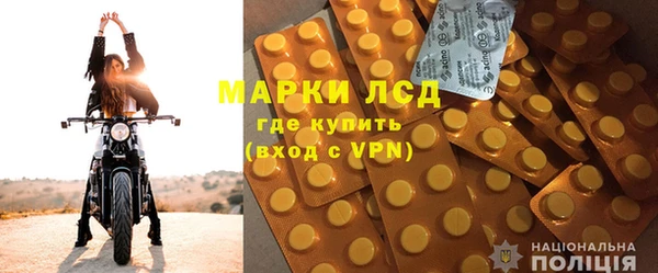 шишки Заволжье