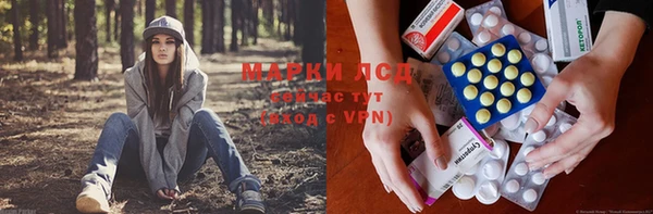spice Зеленодольск