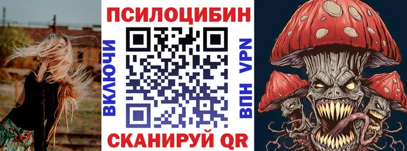 Галлюциногенные грибы Cubensis Северо-Курильск