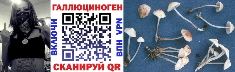 МЕГА ссылки  Северо-Курильск  Псилоцибиновые грибы GOLDEN TEACHER 
